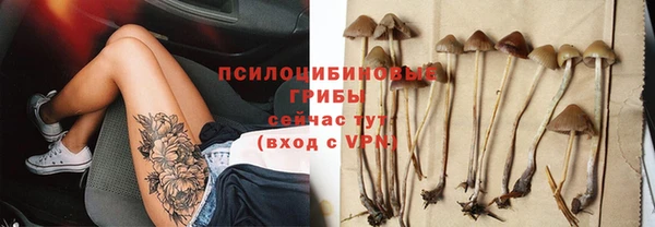 соль ск Алзамай