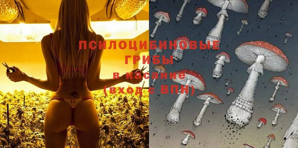 соль ск Алзамай