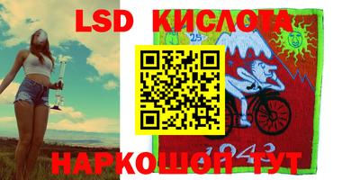 ешки Владимир