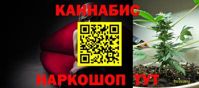 ешки Владимир