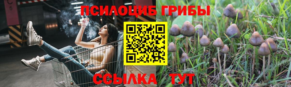 Галлюциногенные грибы Cubensis Боровичи