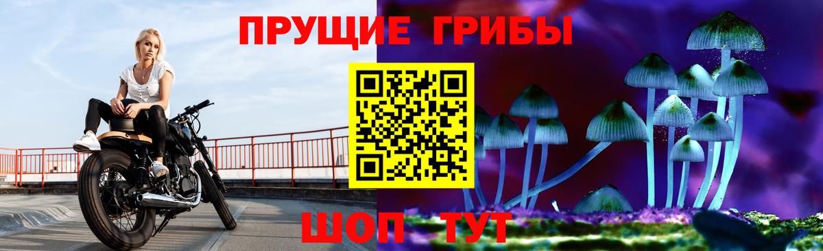 Псилоцибиновые грибы мухоморы  Вход с VPN  Боровичи  Галлюциногенные грибы MAGIC MUSHROOMS 