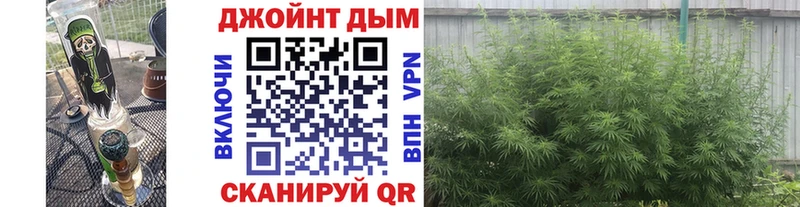 Шишки марихуана сатива  как найти   Боровичи 