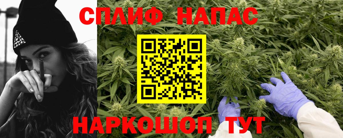 Боровичи  Марихуана планчик  МАРИХУАНА семена  Бошки марихуана SATIVA & INDICA  Вход с VPN 